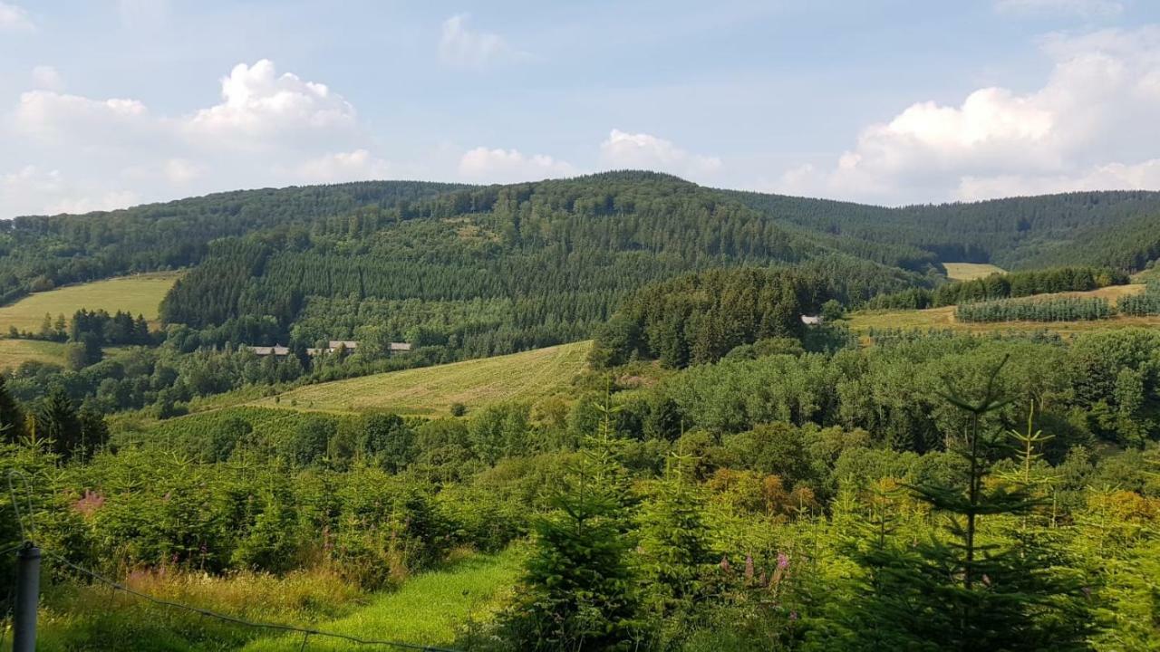 Ferienwohnung " Bianco" Winterberg Esterno foto